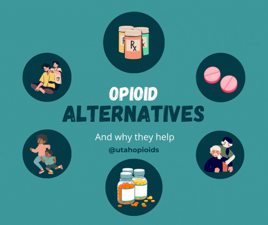 PORT SOCIAL MEDIA GIF 1