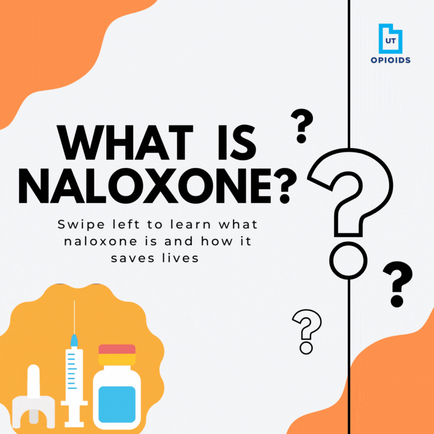 PORT SOCIAL MEDIA GIF 2