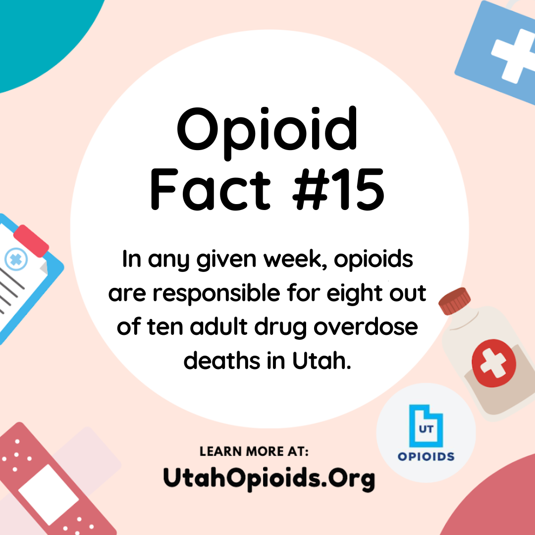 PORT SOCIAL MEDIA POST 2